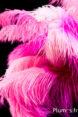 Autruche - 30-40 cm - fuchsia-rose ancien 